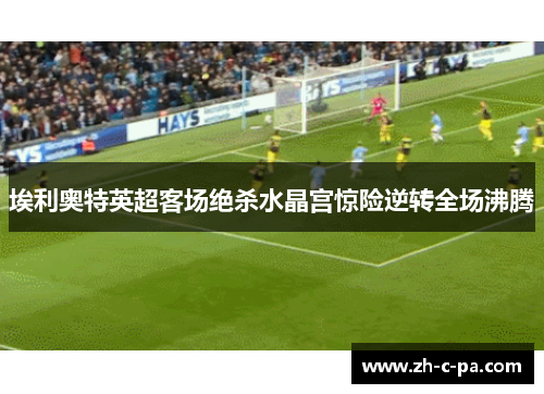 埃利奥特英超客场绝杀水晶宫惊险逆转全场沸腾 埃利奥特英超客场绝杀水晶宫惊险逆转全场沸腾