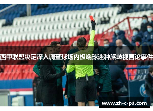 西甲联盟决定深入调查球场内极端球迷种族歧视言论事件 西甲联盟决定深入调查球场内极端球迷种族歧视言论事件