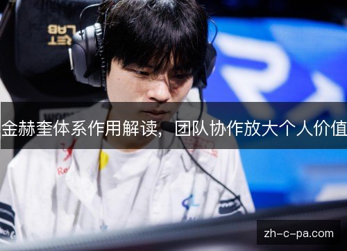 金赫奎体系作用解读，团队协作放大个人价值